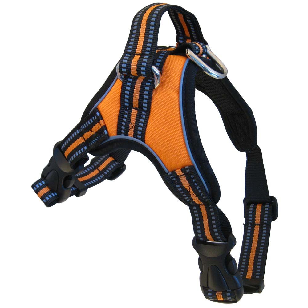 Personalized Sport Harness for Dogs, - Lucky Pet